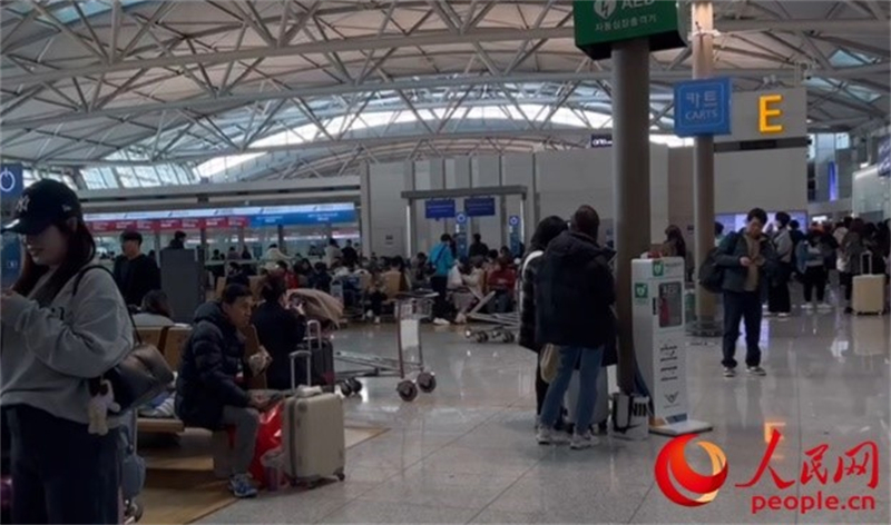 11月29日，繁忙的仁川機(jī)場。人民網(wǎng) 李帆攝