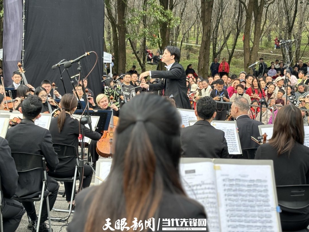 貴陽路邊音樂會·貴安櫻花園專場交響樂現(xiàn)場。丁亞 文丹 攝