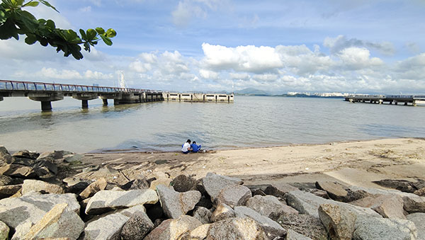 深圳紅樹(shù)林灘涂，留給了孩子們親近自然的空間。人民網(wǎng)記者 李彤?dāng)z