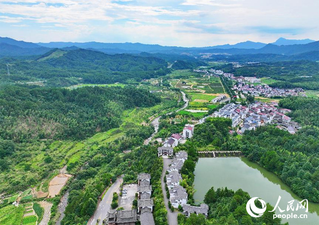 資溪縣森林資源豐富，森林覆蓋率達87.7%，有林地資源168萬畝。人民網(wǎng) 朱海鵬攝