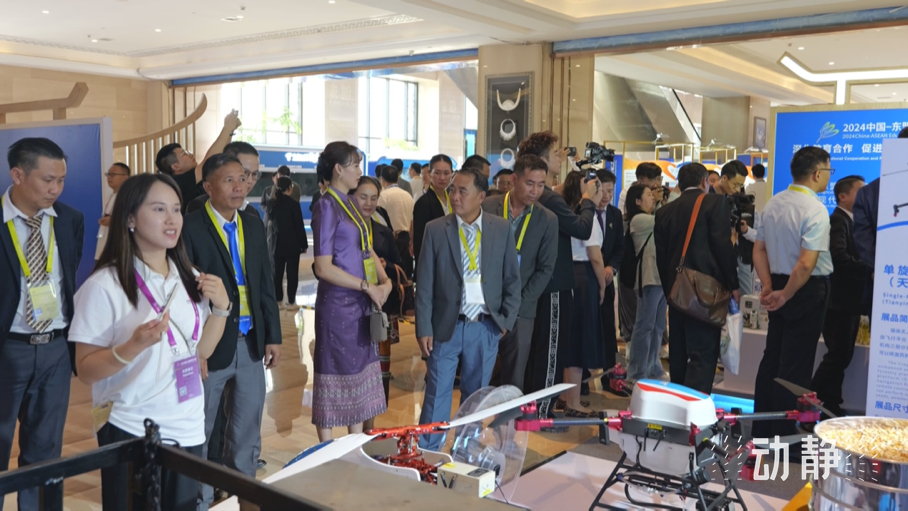 展示成果分享經(jīng)驗(yàn)，中國—東盟教育交流周深化合作共創(chuàng)未來！