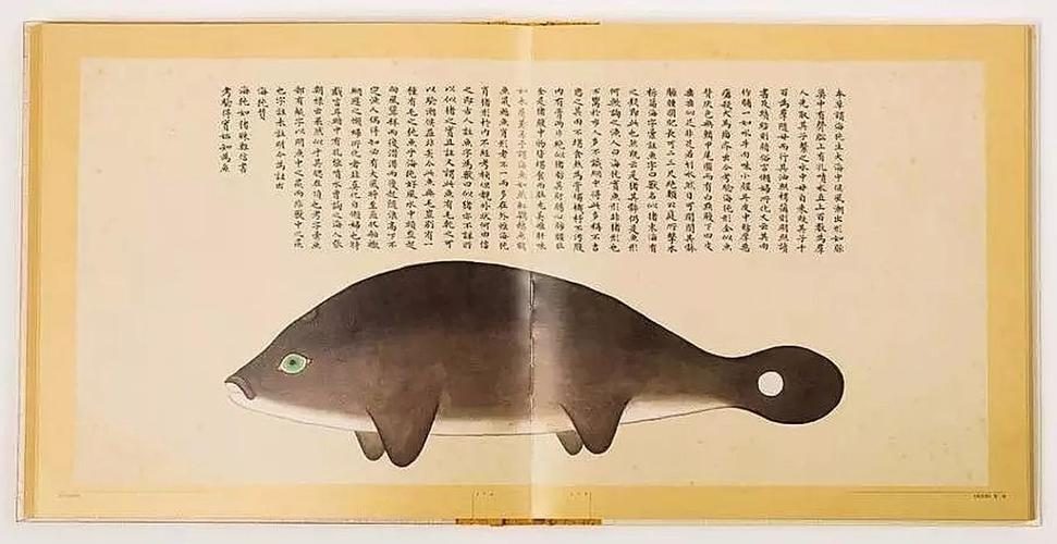 文化中國(guó)行 長(zhǎng)江之歌丨微笑的江豚，從四千年前“游”來