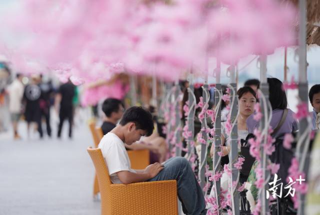 崖口村東堤靠近海岸，成為了熱門打卡休閑地點(diǎn)。