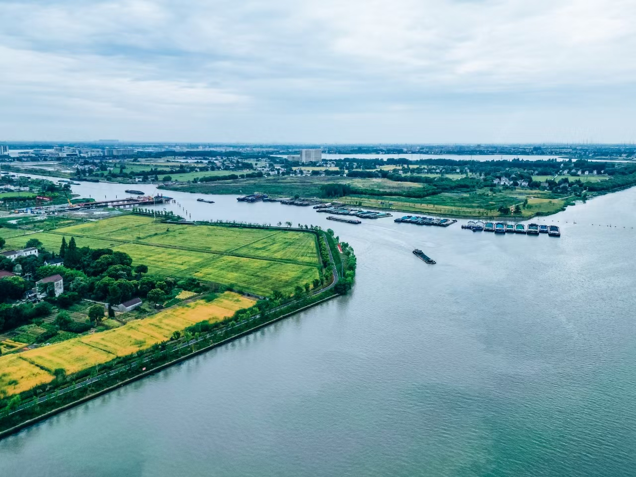 太浦河沿岸好風(fēng)光。吳橫軒攝