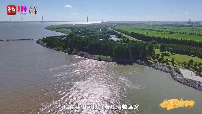 “縣”在起筆 青綠繪江山 | 江灣沐曉：褪去“銹色”走“金線(xiàn)”，繡出生態(tài)與產(chǎn)業(yè)“雙面錦”