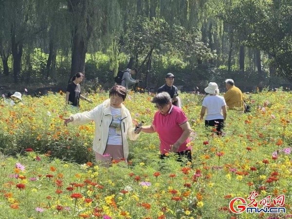 何以中國·理想都城|數(shù)字化技術(shù)再現(xiàn)圓明園昔日輝煌盛景