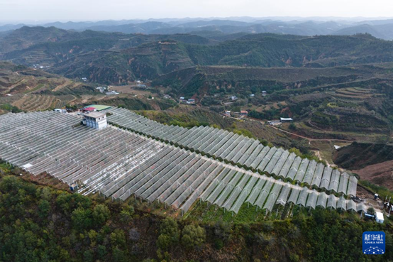 【高質(zhì)量發(fā)展看陜西】“上天”的延安蘋(píng)果，蘊(yùn)藏哪些新質(zhì)生產(chǎn)力