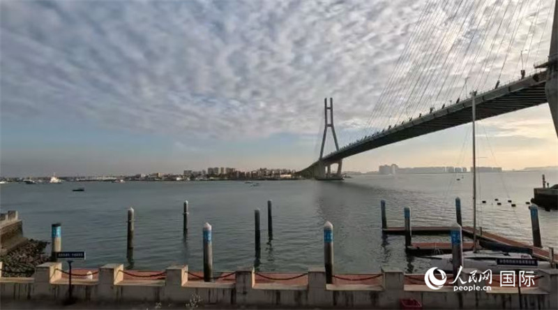 海南省儋州市洋浦大橋。人民網(wǎng) 薩拉·阿芙澤爾攝