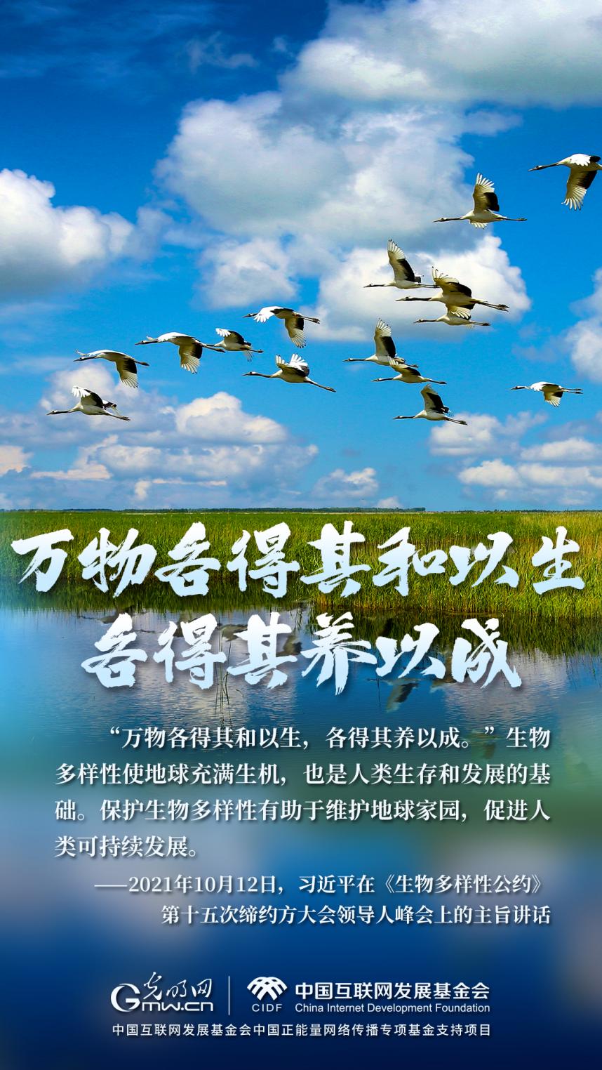“兩山”理念與美麗中國(guó)丨濕地與候鳥，一場(chǎng)歲歲年年的相守