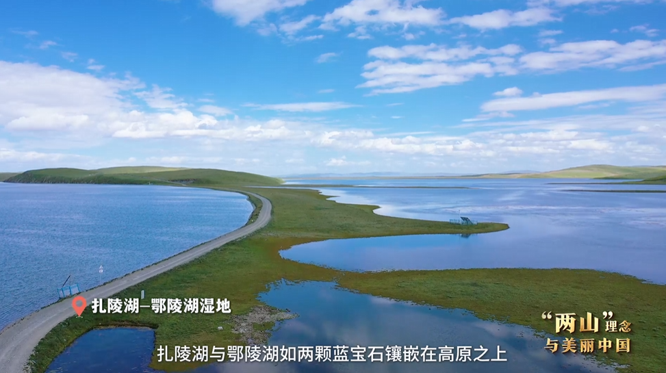 “兩山”理念與美麗中國(guó)丨濕地與候鳥，一場(chǎng)歲歲年年的相守