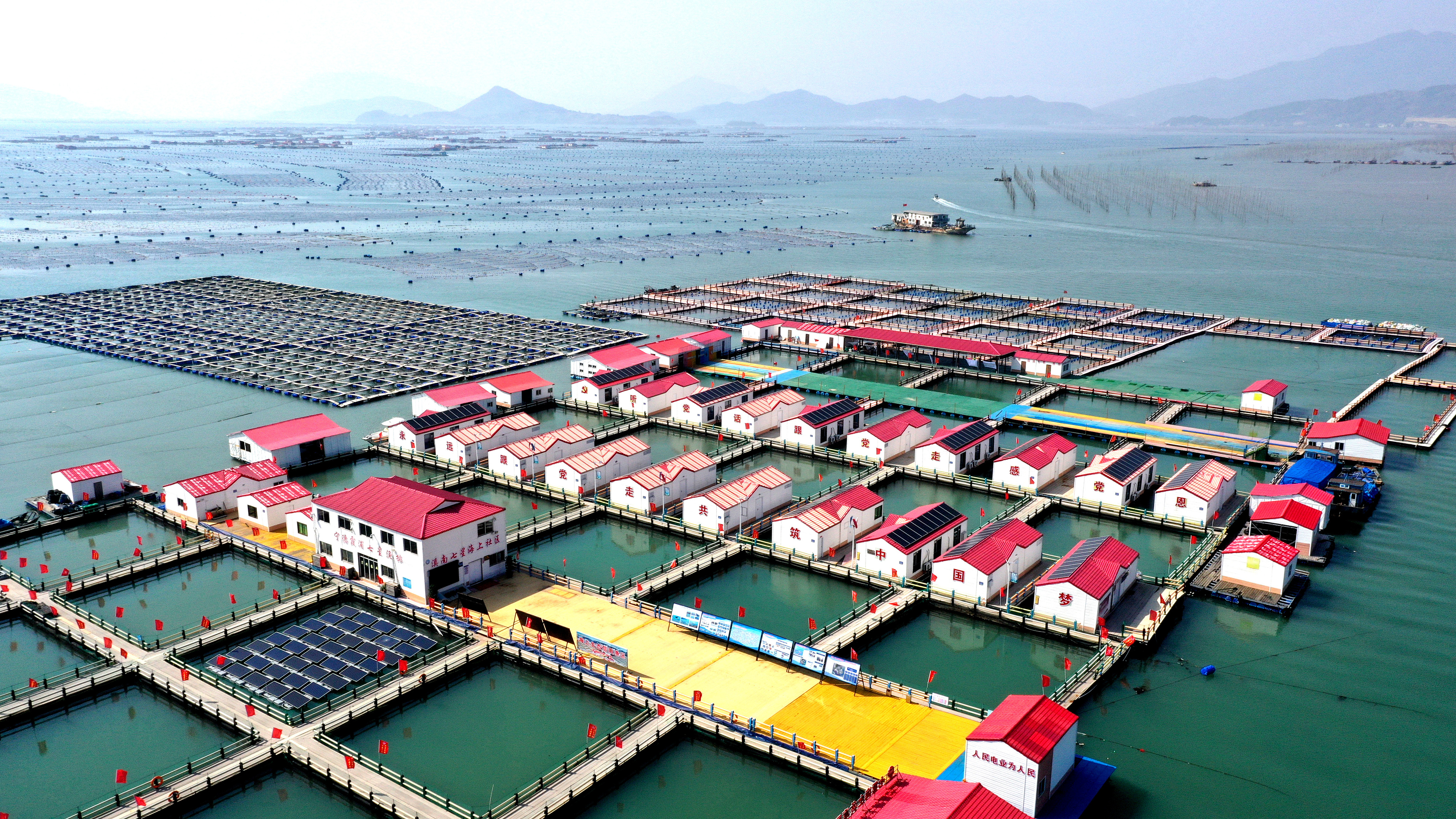 2024年3月20日，福建省寧德市，霞浦縣溪南鎮(zhèn)七星村漁排養(yǎng)殖示范區(qū)，漁民駕駛養(yǎng)殖船進(jìn)行海參養(yǎng)殖作業(yè)。