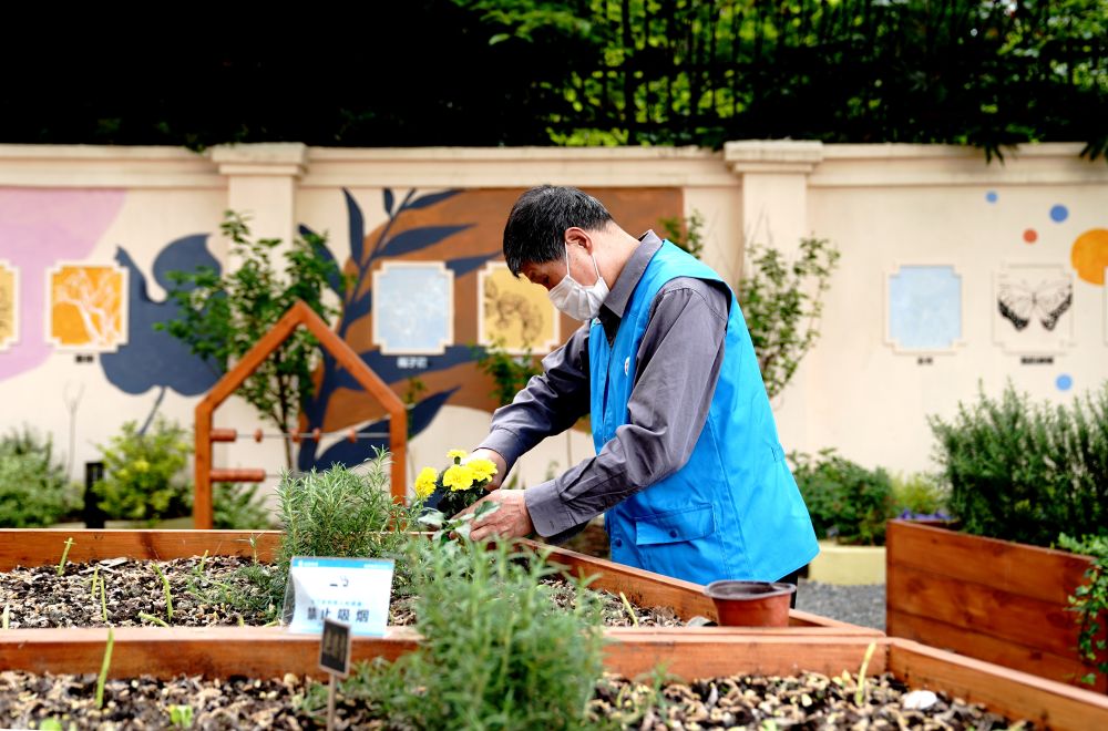 上海市長(zhǎng)寧區(qū)虹旭小區(qū)居民在整理改造社區(qū)花園。居民們把堆肥箱里發(fā)酵出來(lái)的“綠色材料”和土壤拌在一起鋪在種植箱中（2020年4月22日攝）。新華社記者 張建松 攝