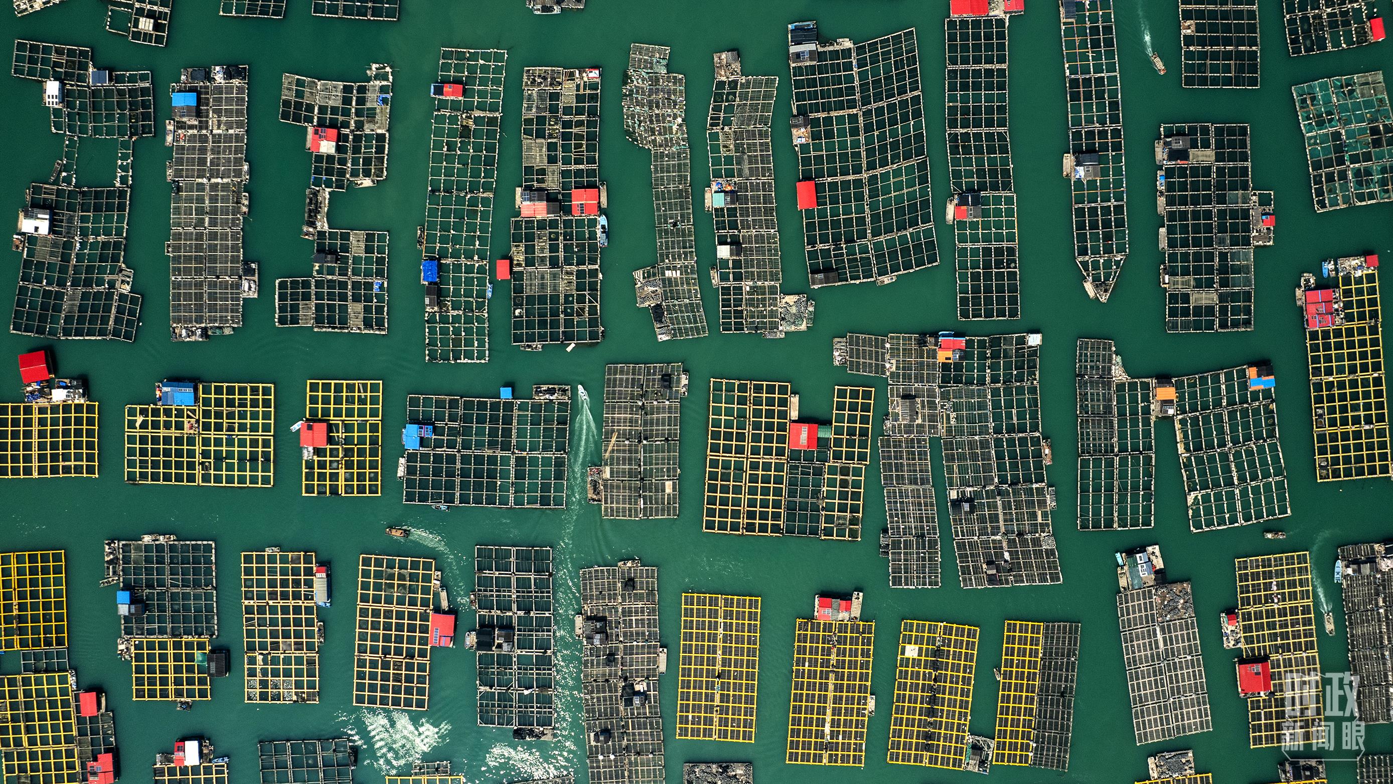 △澳角村。（總臺(tái)記者李晉拍攝）