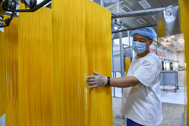 2024年1月25日，在吉林省公主嶺市的一家公司車間，工人查看玉米面條生產(chǎn)情況。