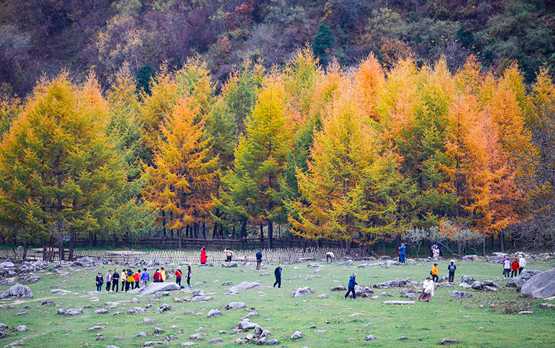 2023年10月27日，深秋時節(jié)的陜西秦嶺太子嶺漫山紅黃、色彩交織，進入最佳觀賞期。