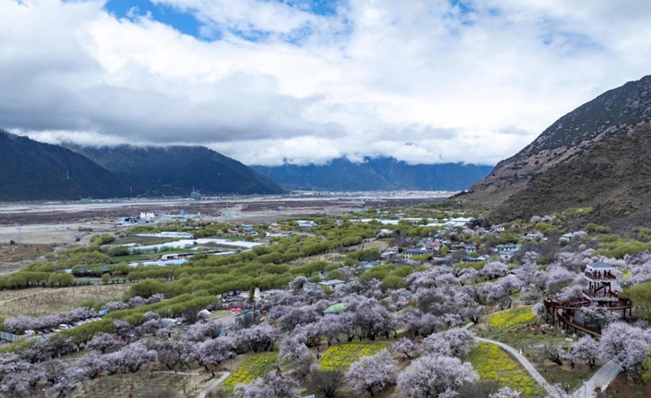 時政微觀察丨砥柱中流 風華正茂
