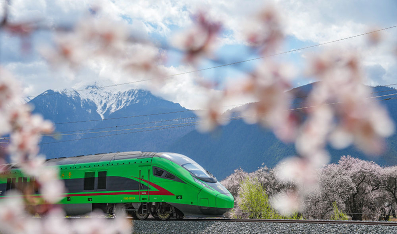 2025年4月2日，復(fù)興號(hào)列車穿行在拉林鐵路林芝段。