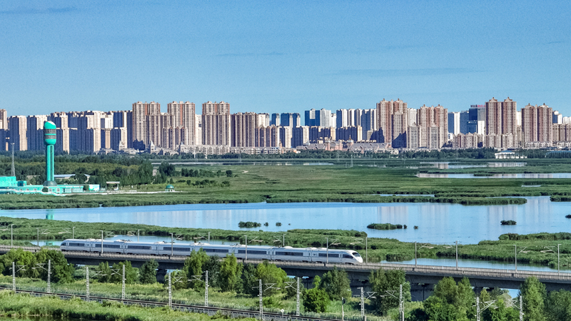 2025年8月17日，一列動車組列車駛過大慶東站。