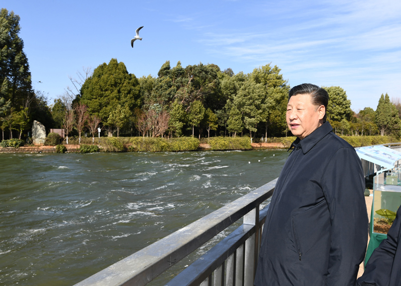 2020年1月20日下午，習(xí)近平總書記在云南昆明滇池星海半島生態(tài)濕地考察調(diào)研。