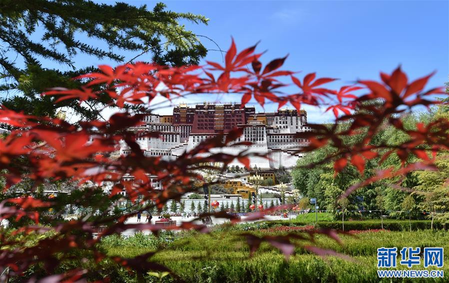 (社會)(3)布達拉宮恢復對外開放