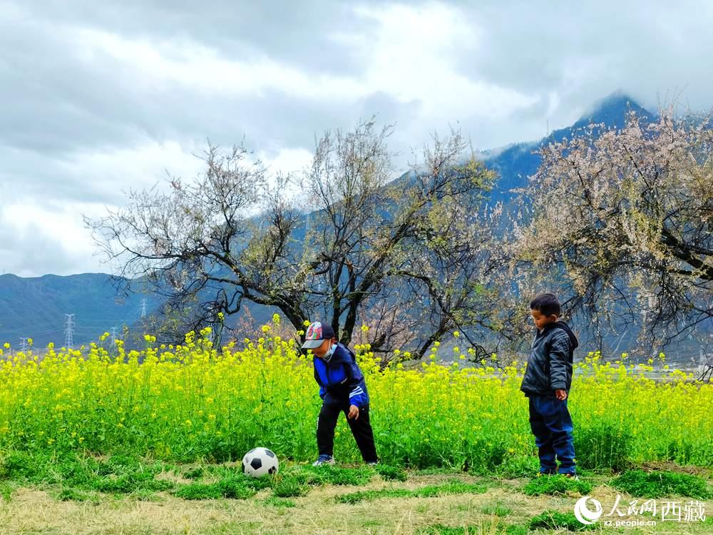 孩童在桃花下嬉戲。人民網(wǎng) 李海霞攝