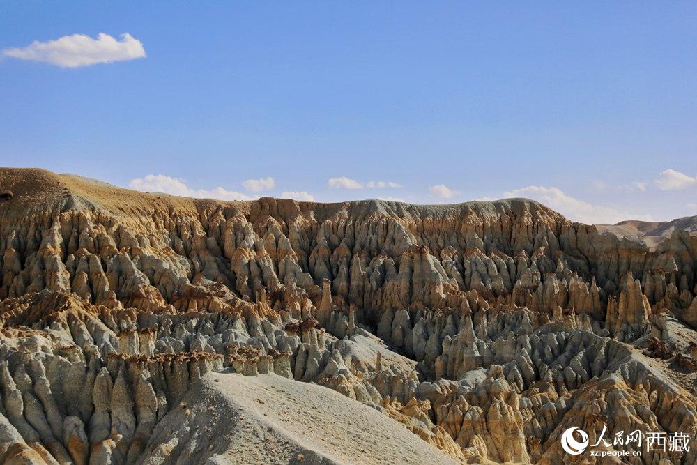 多姿多彩的土林。人民網(wǎng) 李海霞攝