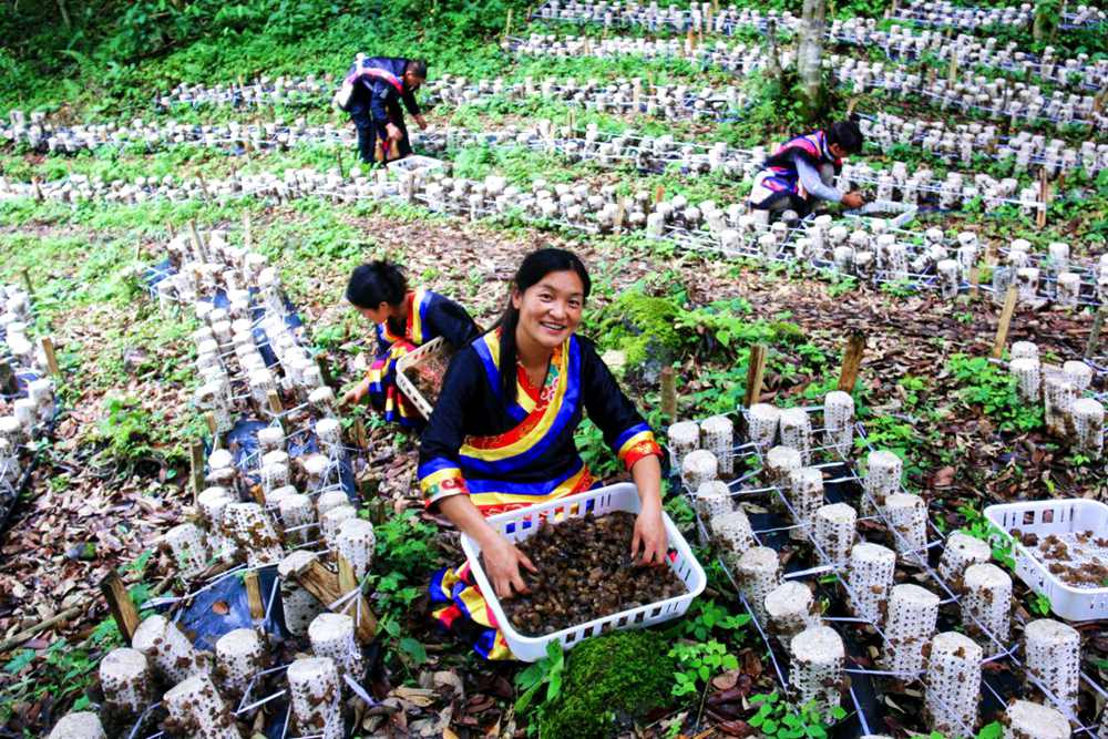 喜獲豐收展笑顏。次仁央宗攝