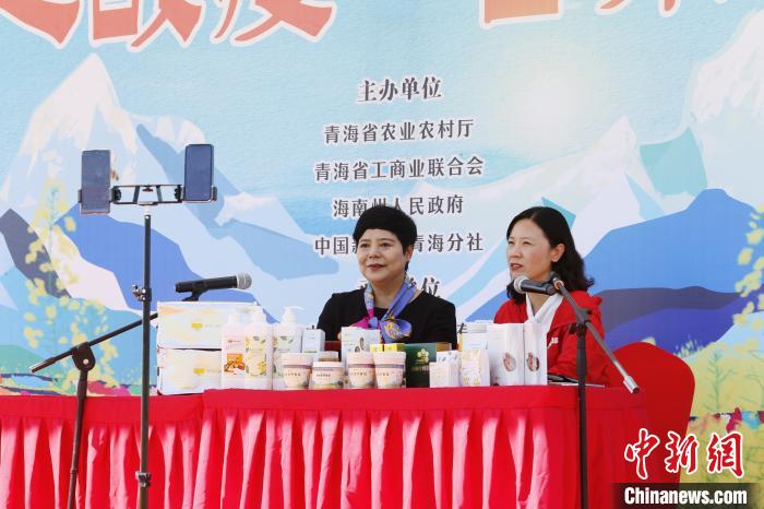 青海湖畔“花海直播間”：“甜蜜”帶貨助農增收