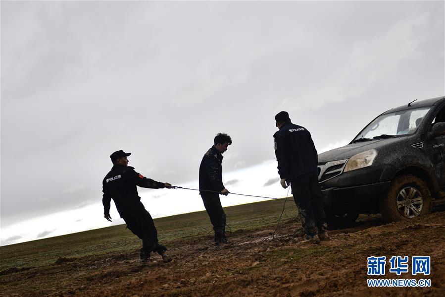 （圖文互動(dòng)）（10）記者手記：可可西里，“挪”向“藏羚羊大產(chǎn)房”的14個(gè)半小時(shí)