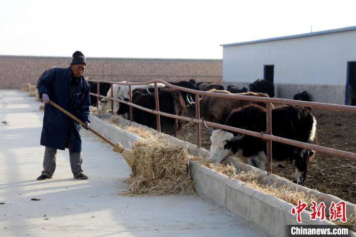 柴達木盆地蓮湖村：讓致富村民生活“?！逼饋?/></a></div>
                        <div   id=