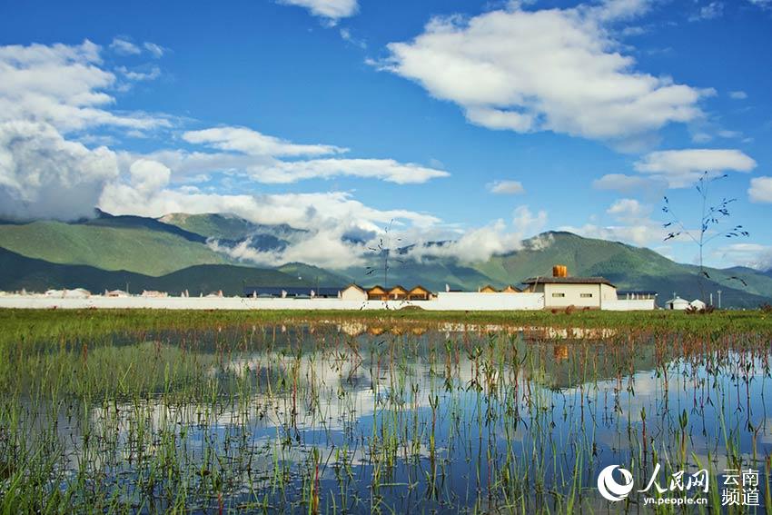 納帕海濕地風景。呂昊辰攝