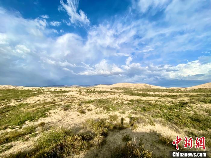 圖為關(guān)停四年后的沙島景區(qū)現(xiàn)狀?！±罱瓕?攝