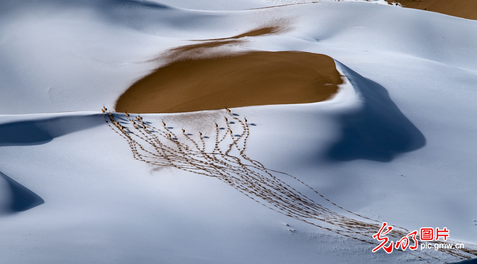 三江源國家公園正式設立，這是青海生態(tài)文明建設的新答卷