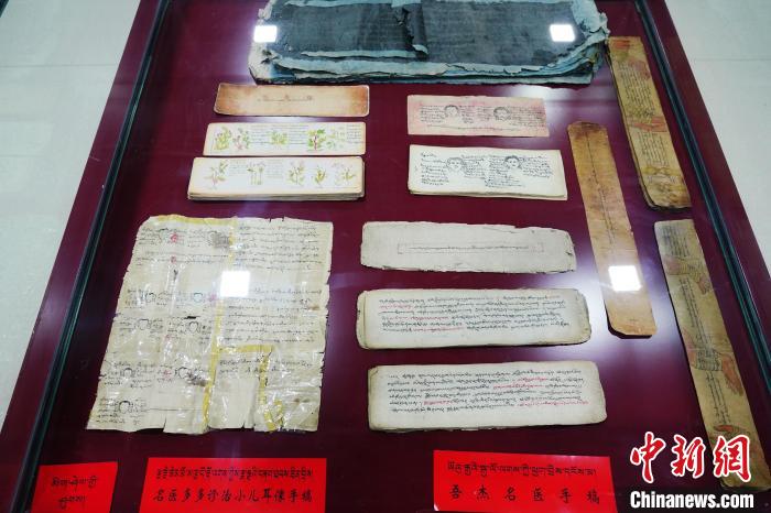 圖為藏醫(yī)古集文獻(xiàn)和藏醫(yī)臨床原始手稿。　馬銘言 攝