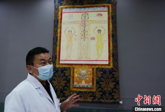 圖為興?？h藏醫(yī)院院長(zhǎng)介紹藏醫(yī)四部醫(yī)典詳實(shí)圖。　馬銘言 攝