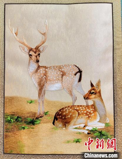 圖為藏繡作品?！∑钤鲚?攝