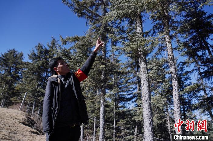 圖為桑杰加介紹林場樹木?！●R銘言 攝