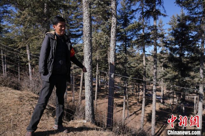 圖為桑杰加檢查林場防護(hù)網(wǎng)?！●R銘言 攝