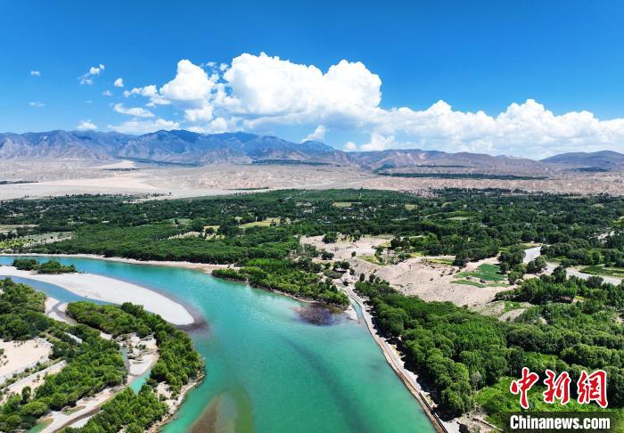 航拍貴德縣黃河岸畔綠意盎然?！●R銘言 攝