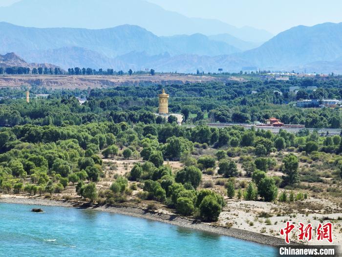 航拍貴德縣黃河岸畔綠意盎然。　馬銘言 攝