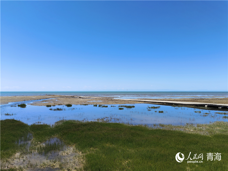   青海湖仙女灣。人民網(wǎng) 張莉萍攝