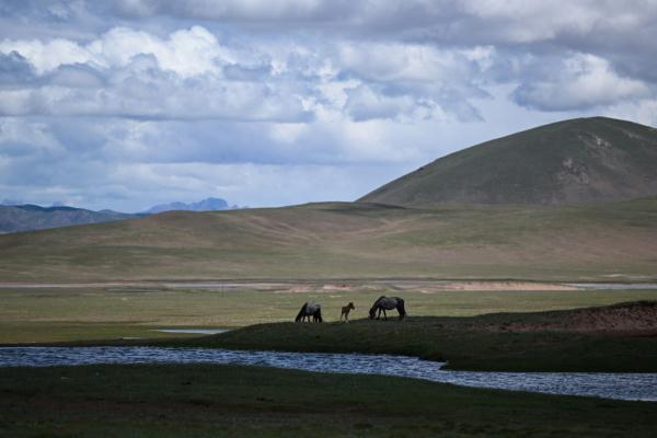 唐古拉山腳下，聽牧民講述長江源生活變遷