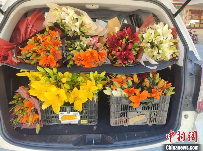 剛剛采摘下來的百合花?！∪捞量h委宣傳部供圖