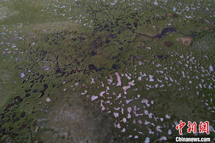 航拍查旦濕地?！●R銘言 攝