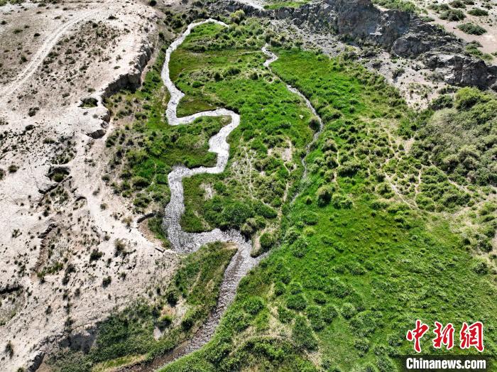 圖為航拍都蘭湖國家濕地公園綠意盎然。　祁增蓓 攝