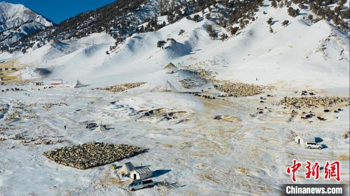 圖為無人機(jī)航拍牧場(chǎng)?！《继m縣融媒體中心供圖