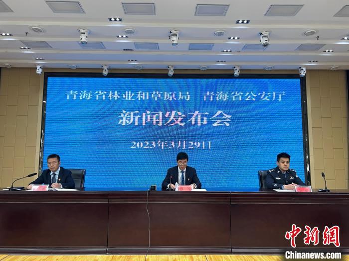 青海去年占用林地、草地準予許可件同比實現(xiàn)“雙減”