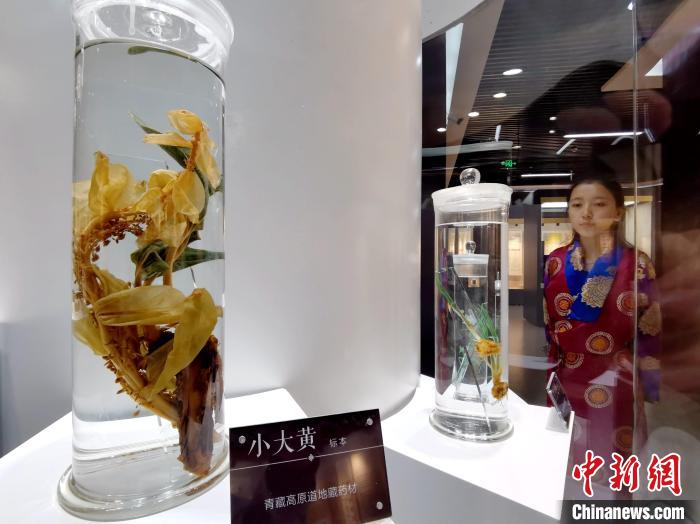 青海中藏醫(yī)藥發(fā)展提速：建設一批重點專科學科，推廣一批適宜技術