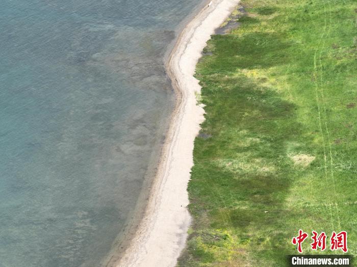 圖為航拍仲夏時節(jié)，青海湖畔綠茵如毯?！∑钤鲚?攝