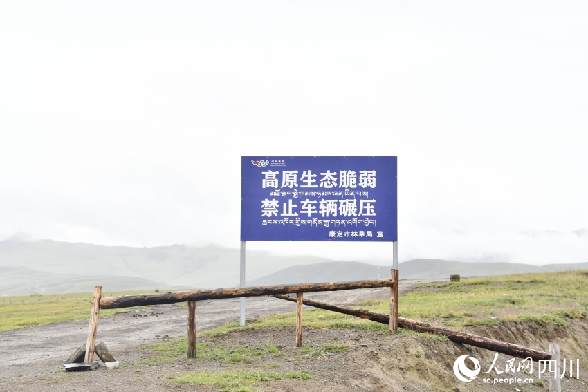 禁止車輛碾壓草原的提示牌。人民網(wǎng)記者 王洪江攝